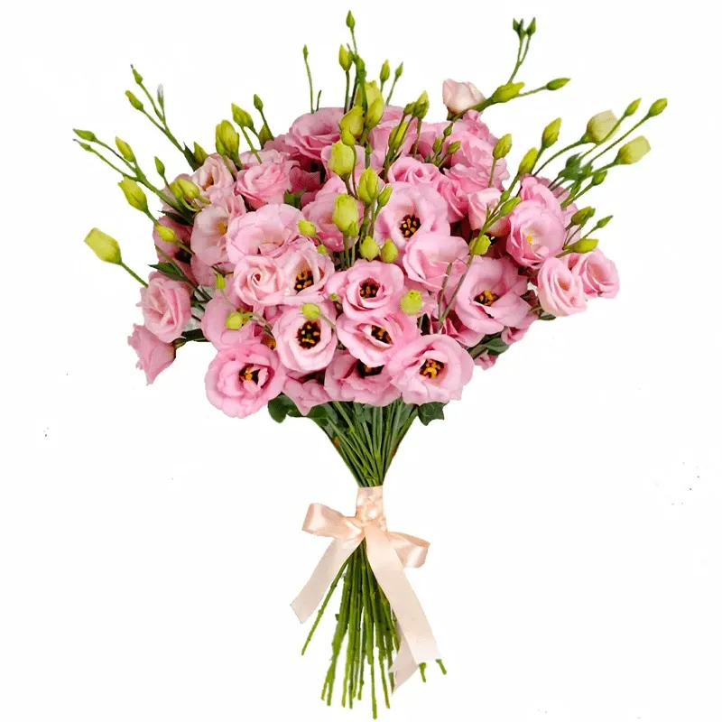 Эустомы розовые